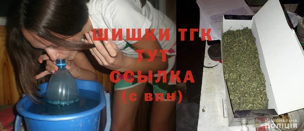 шишки Алексин