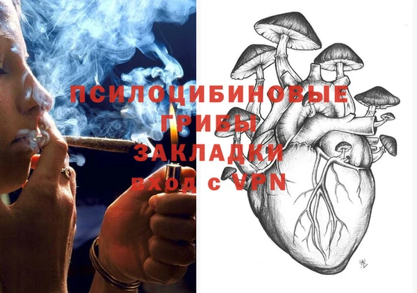 дмт Алзамай